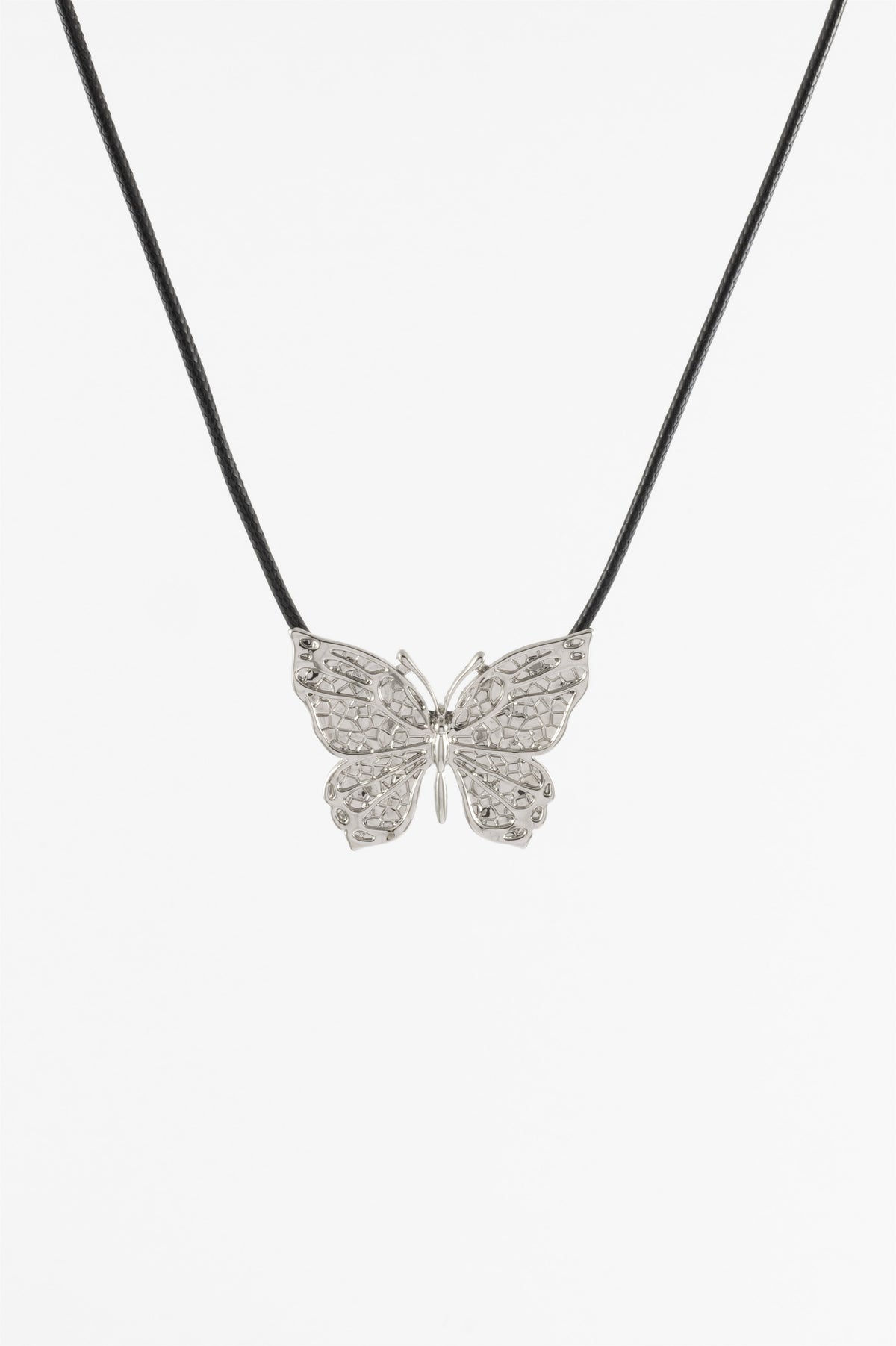 100026_1.jpg