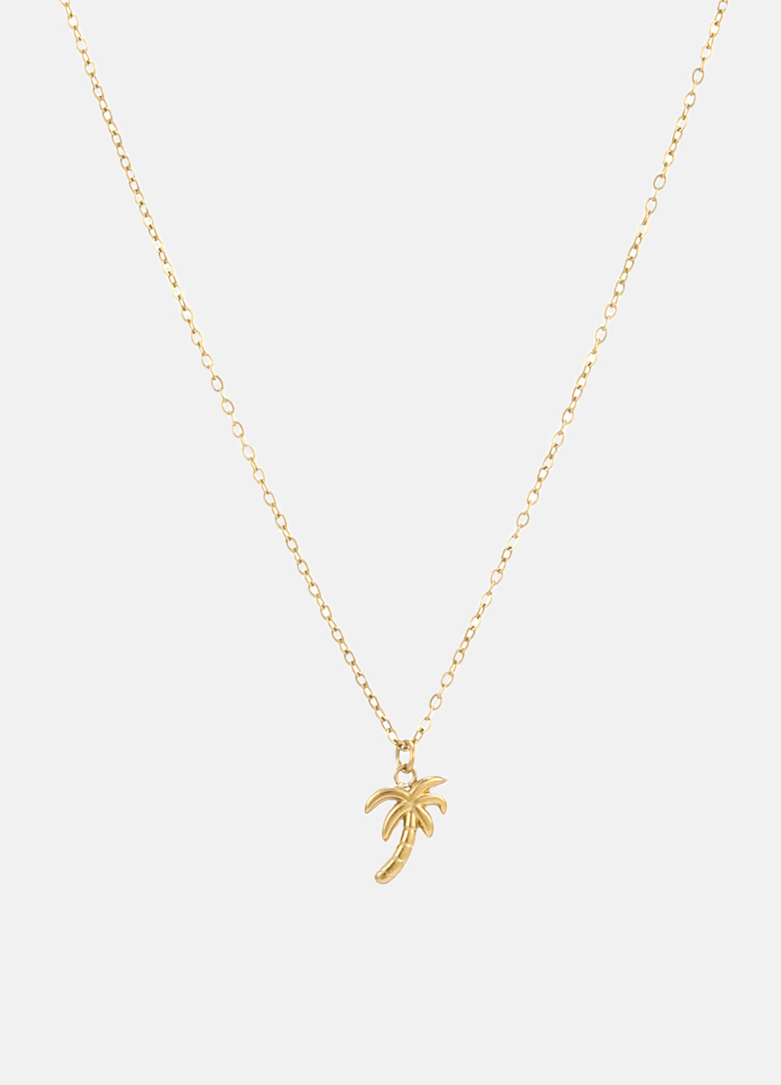 114998_2.jpg